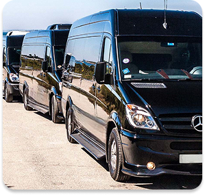 Transporteur touristique